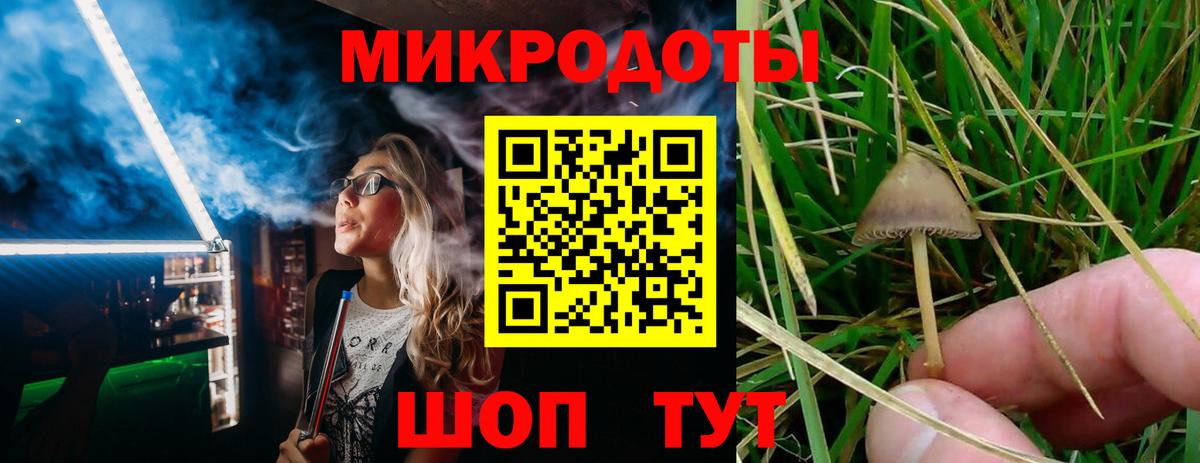 Галлюциногенные грибы Cubensis Вязьма